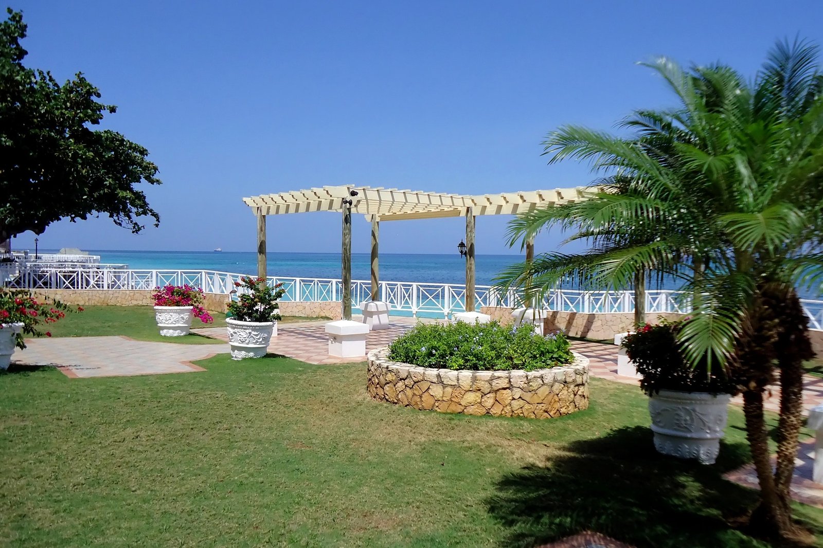 Tropical Island garden in the Caribbean Sea, Jamaica